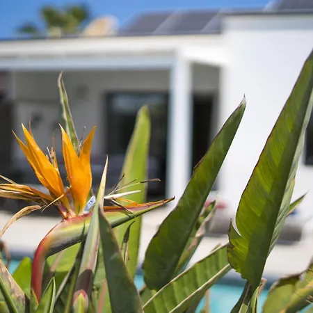 Extraordinary 3 Bedrooms Naraku Spacious Sun Terrace Outdoor Pool, Hot Tub And Bbq * Playa Blanca (Lanzarote)